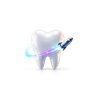 Dentanaut